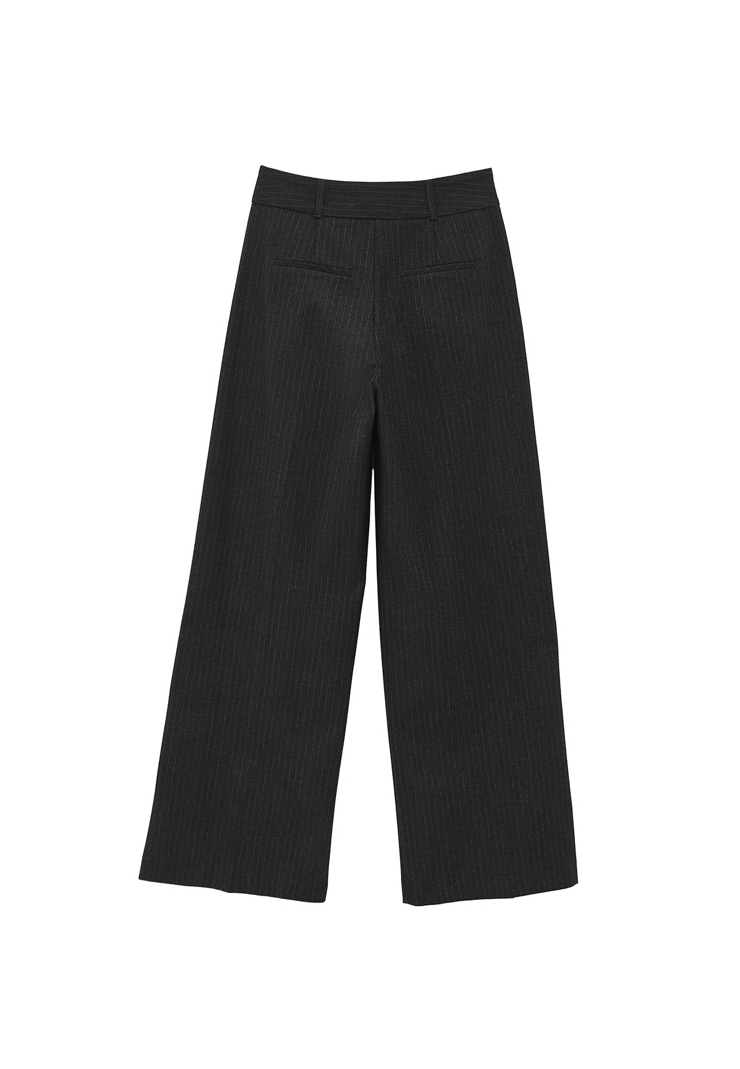 Pleated Wide Leg Pants - ANTHRA STRIPE