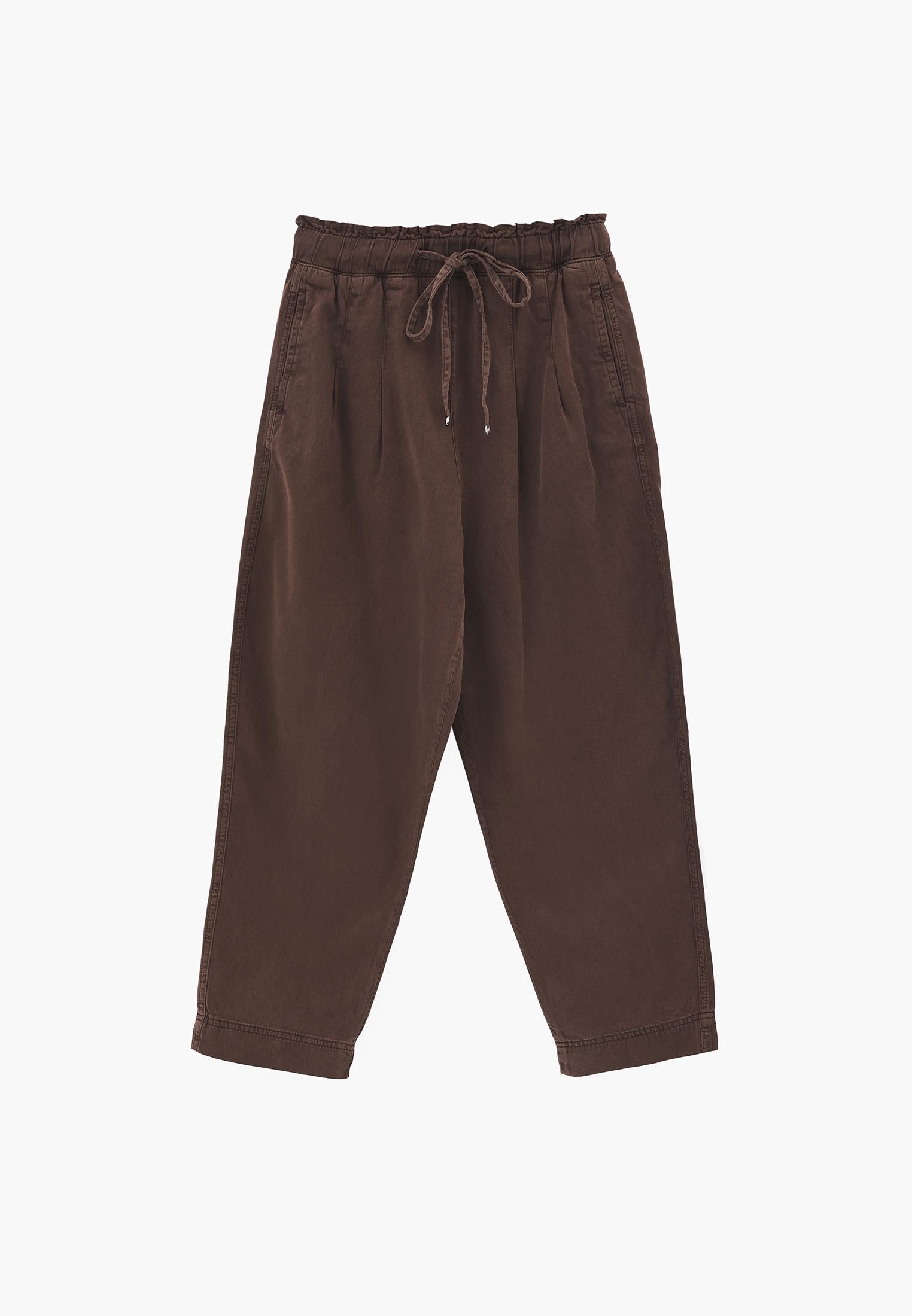 Pleated Tencel Baggy Pants - ANTIK CHICORY COFFEE