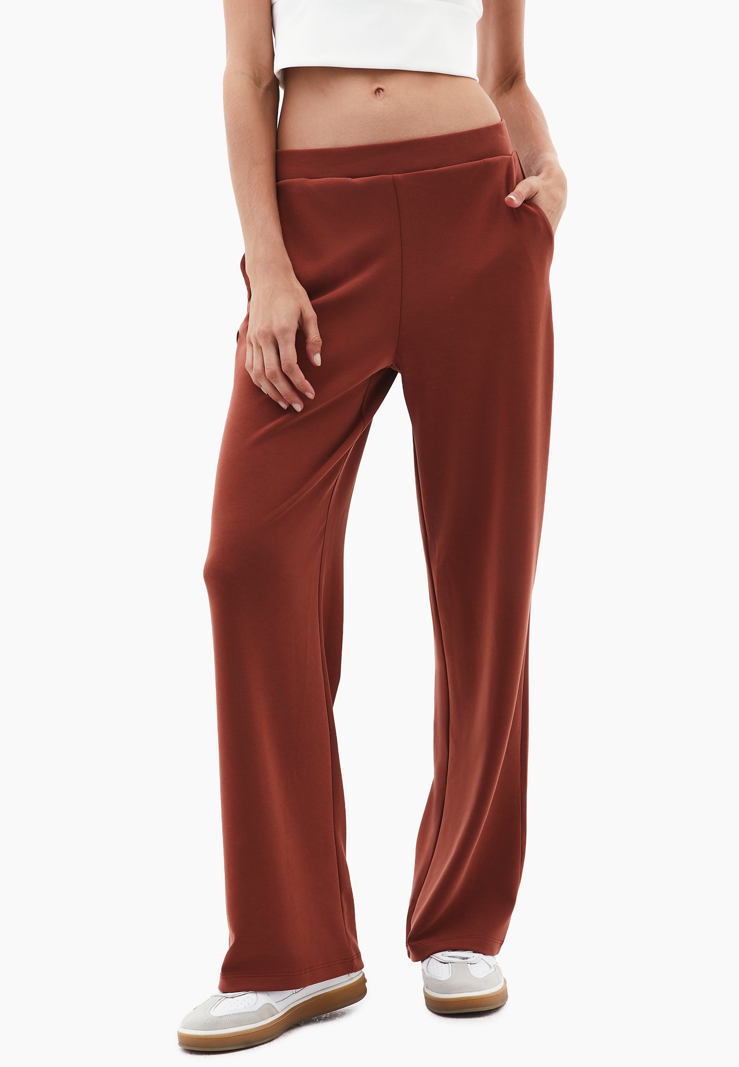 High Waist Standard Straight Leg Pants - ARABIAN SPICE