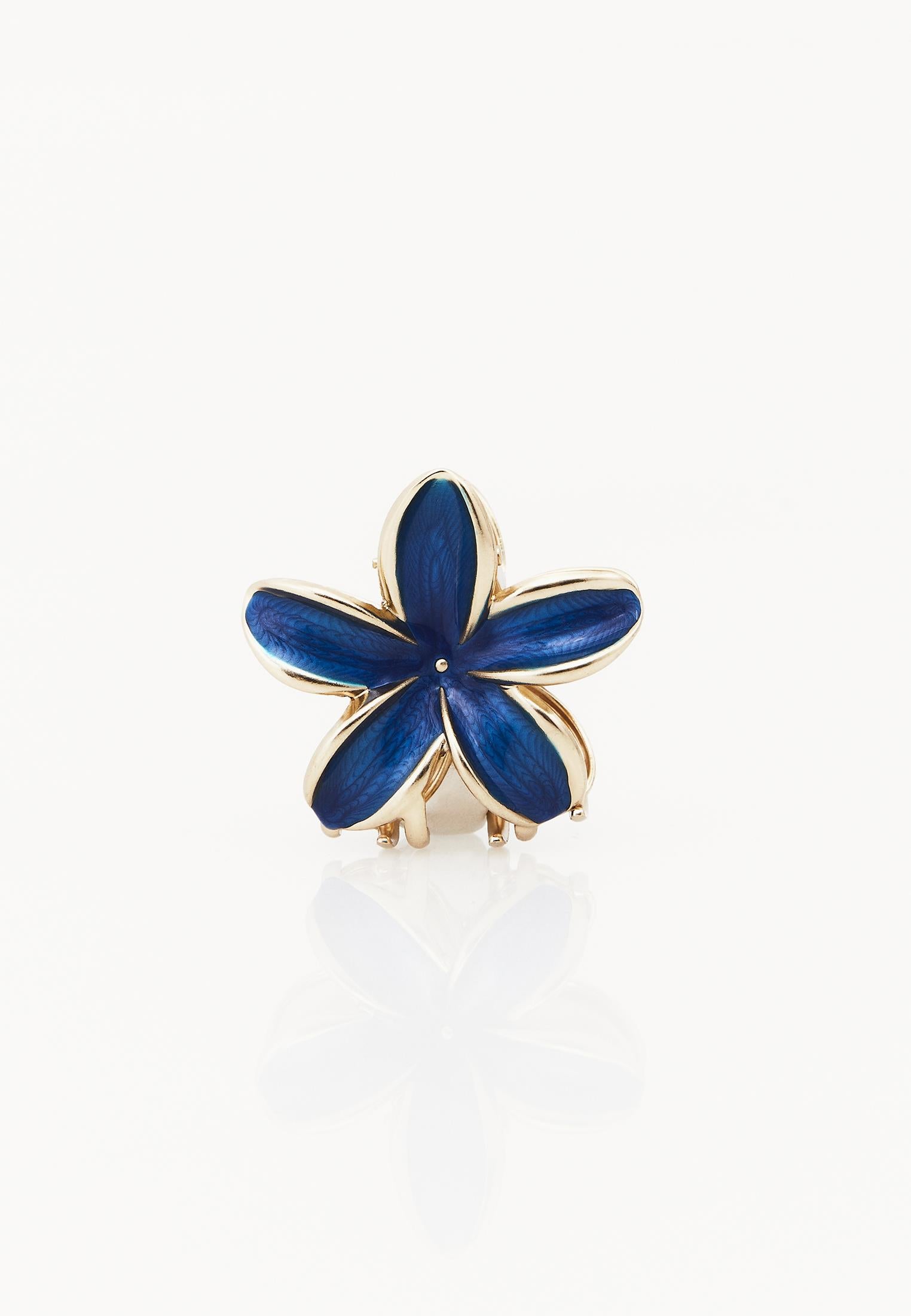 Hair Clip - BELLWETHER BLUE