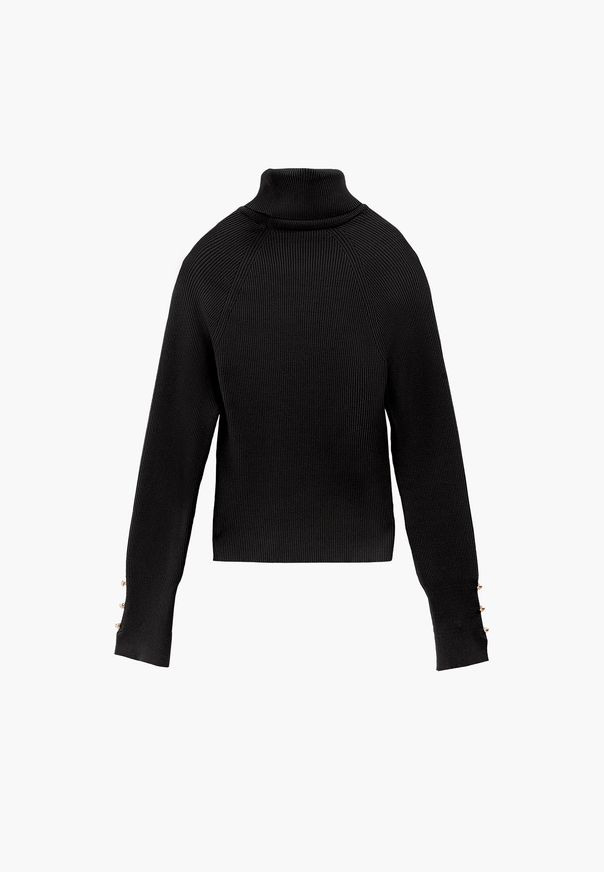 Turtleneck Raglan Sleeve Knitwear - BLACK