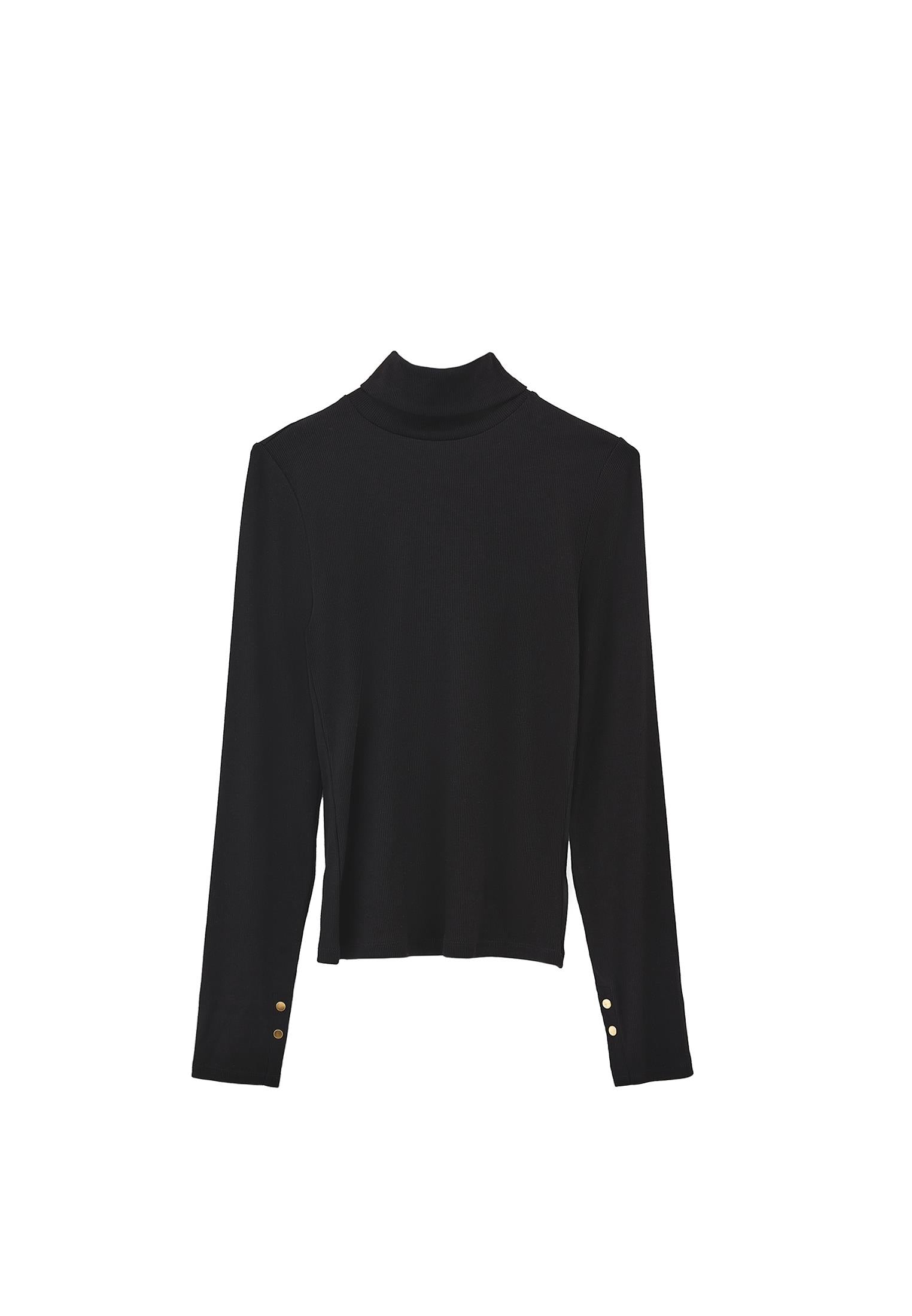 Turtleneck Long Sleeve Bodycon Top - BLACK