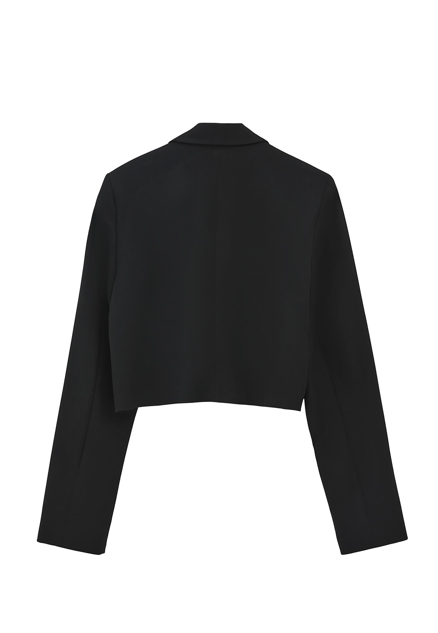 Double Breasted Neckline Crop Blazer - BLACK