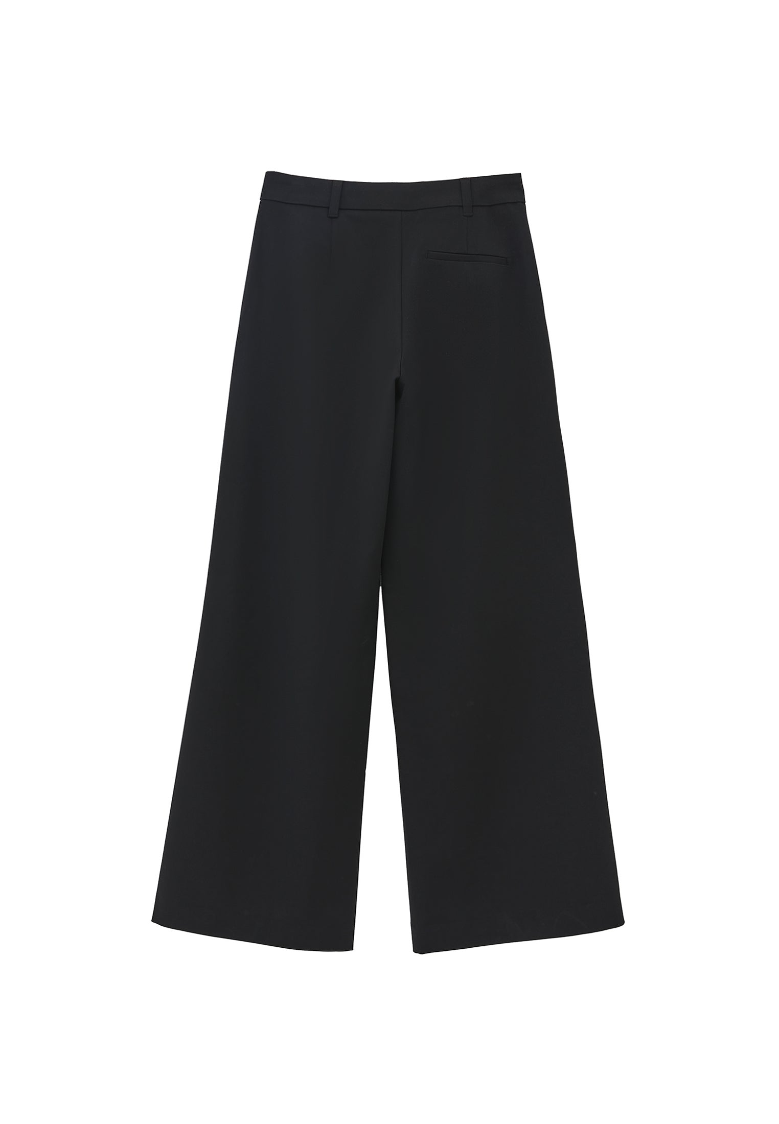 Pleated Standard Wide Leg Pants - BLACK