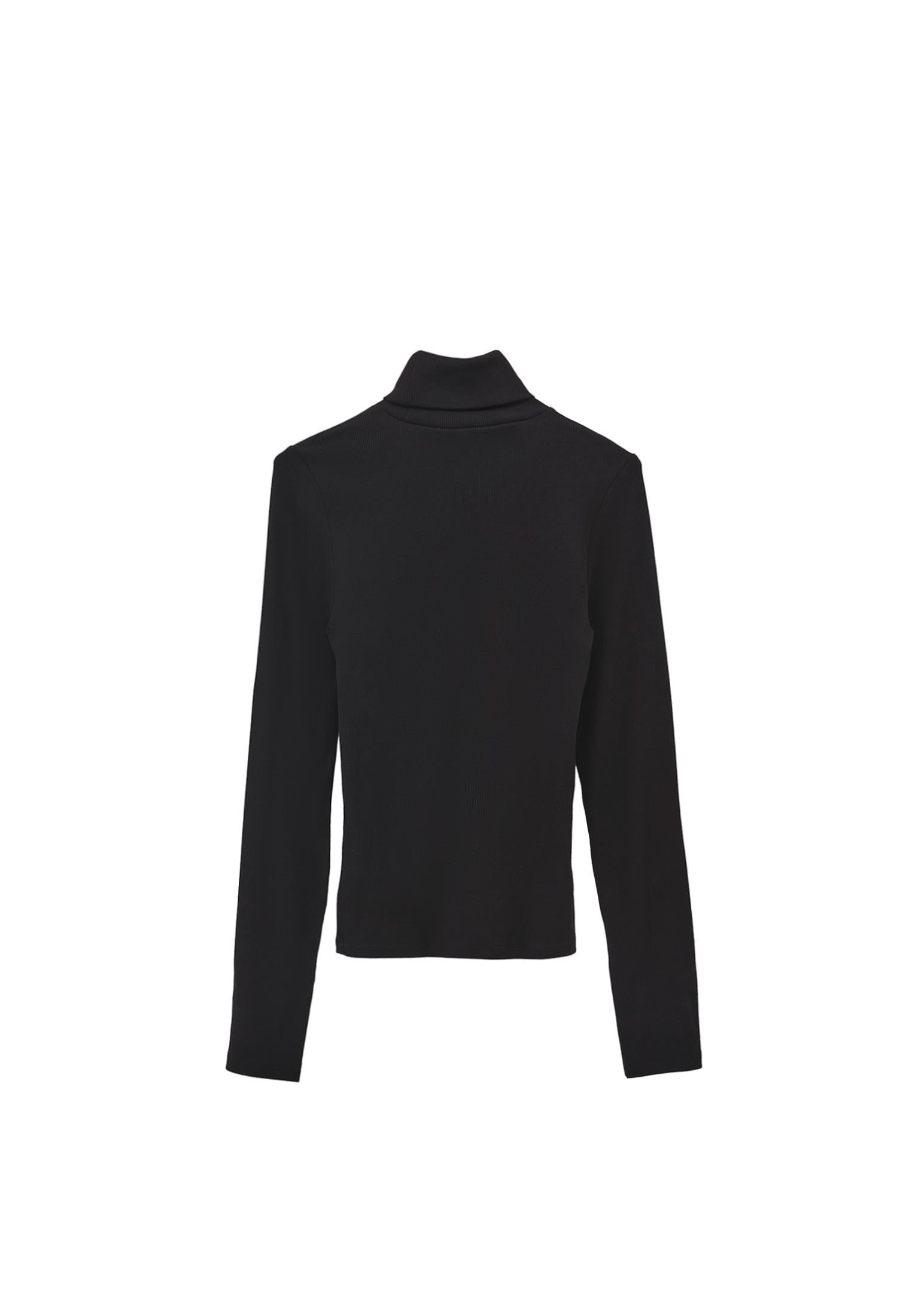 Turtleneck Long Sleeve Bodycon Top - BLACK