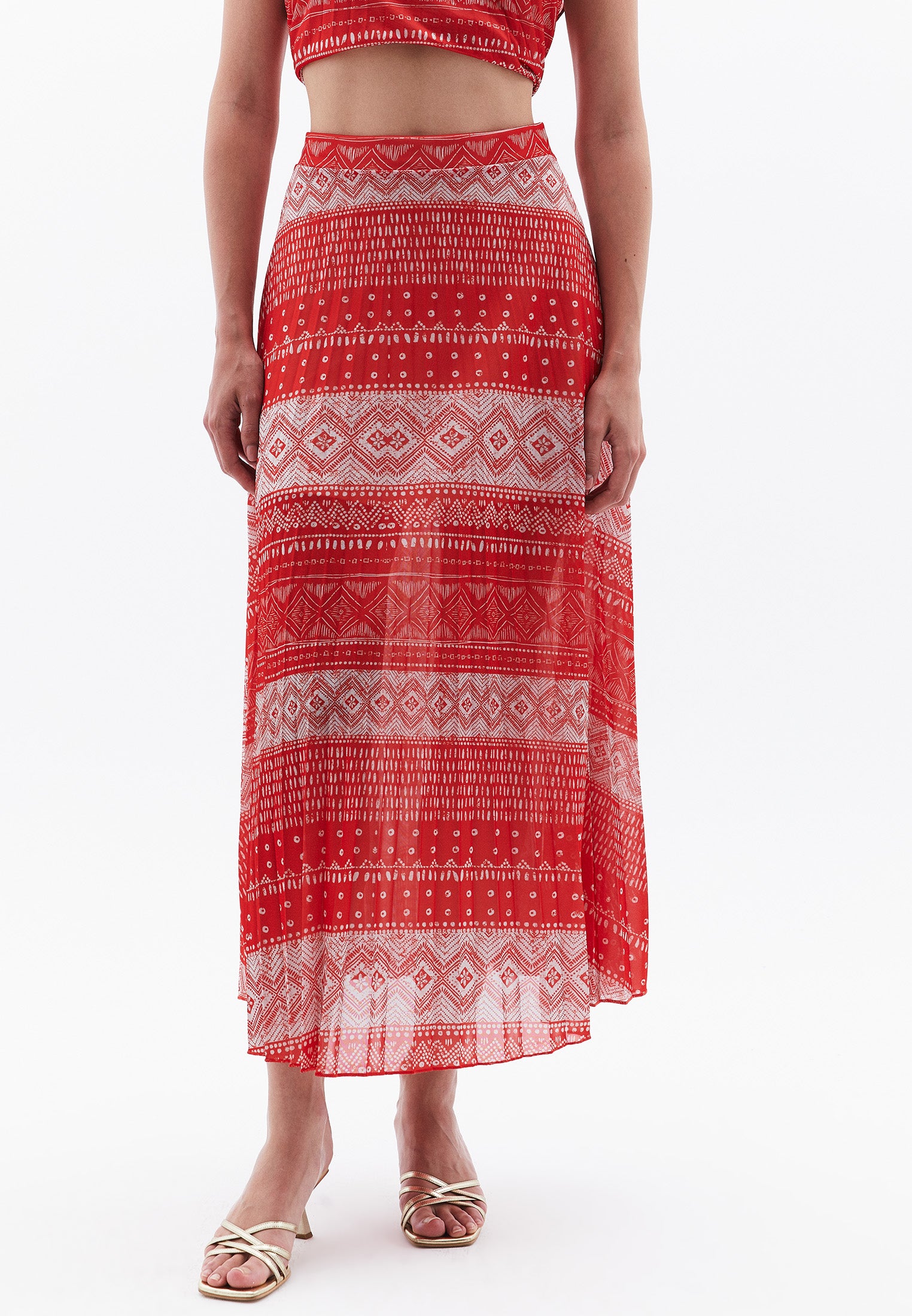Pleated Printed Long Flared Skirt - ETHNIC COMB