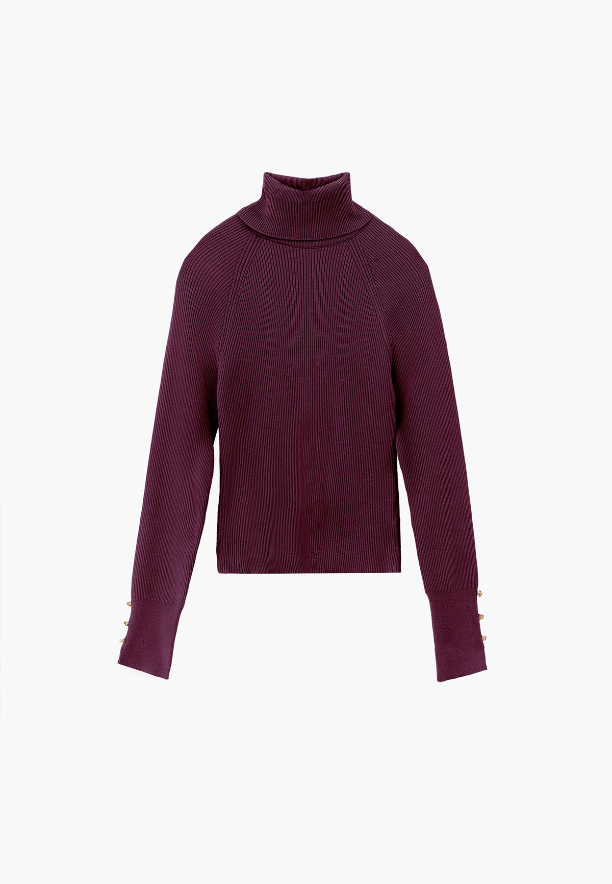 Turtleneck Raglan Sleeve Knitwear - FIG