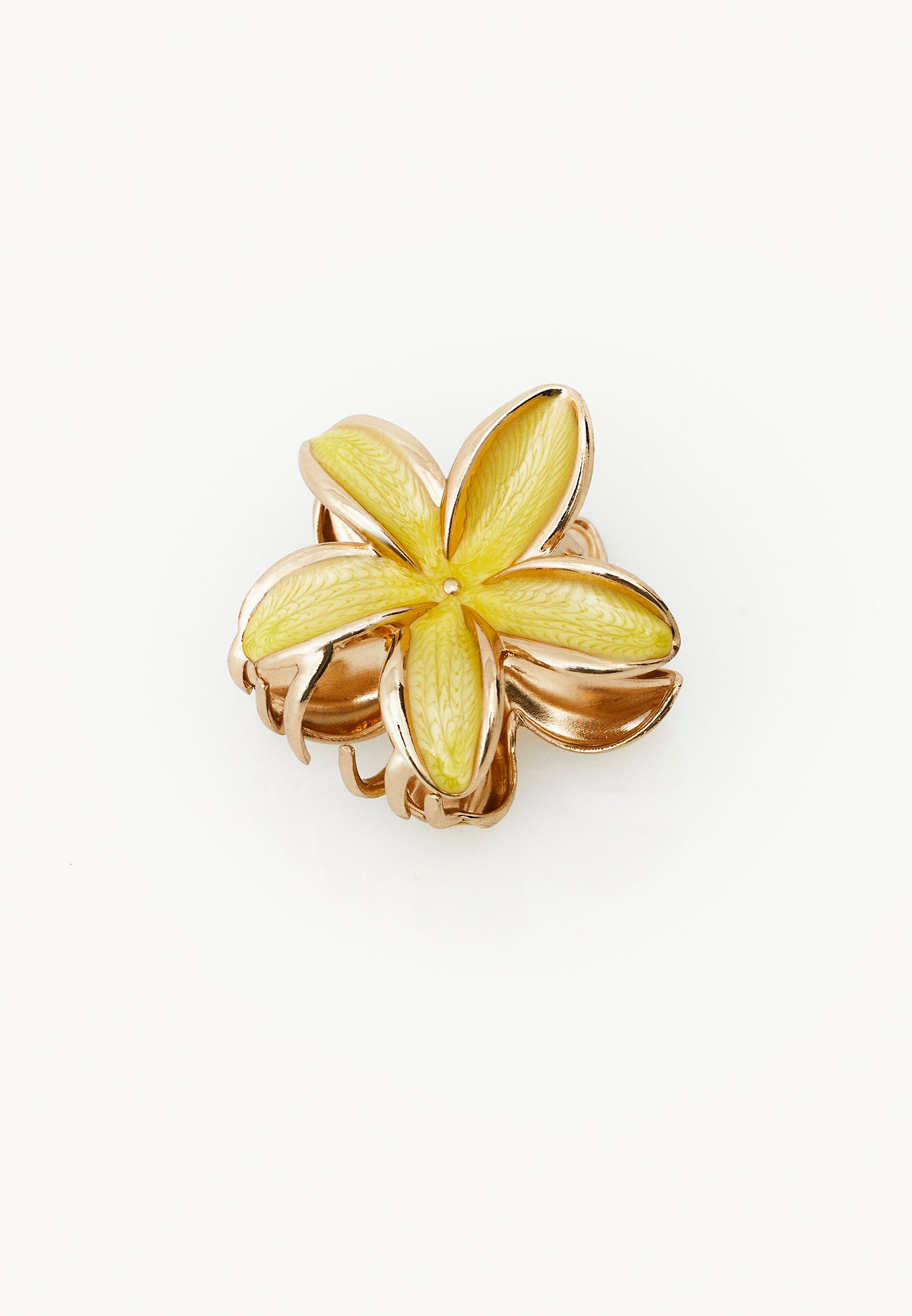 Hair Clip - GOLDFINCH
