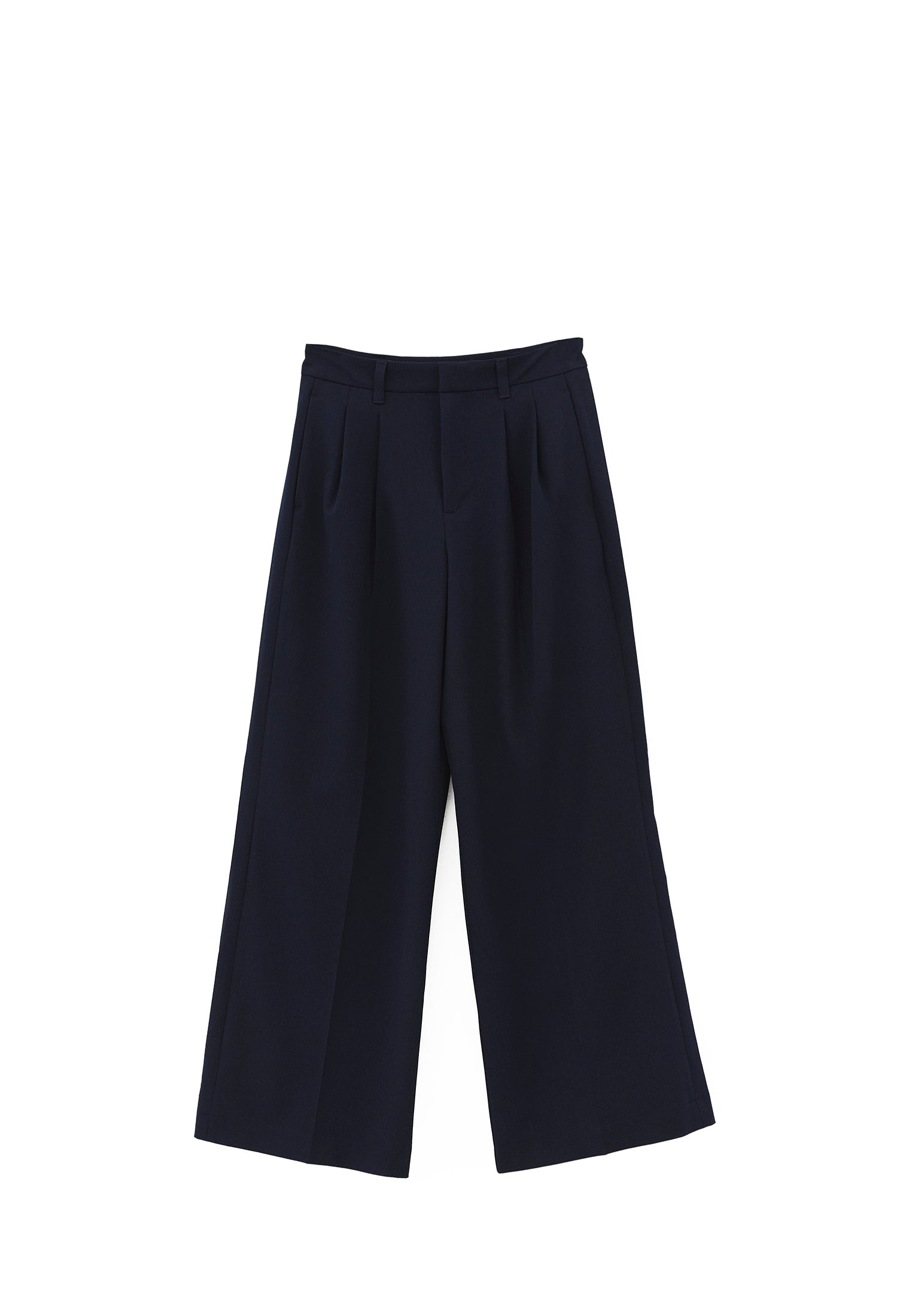 Pleated Standard Wide Leg Pants - MIDNIGHT