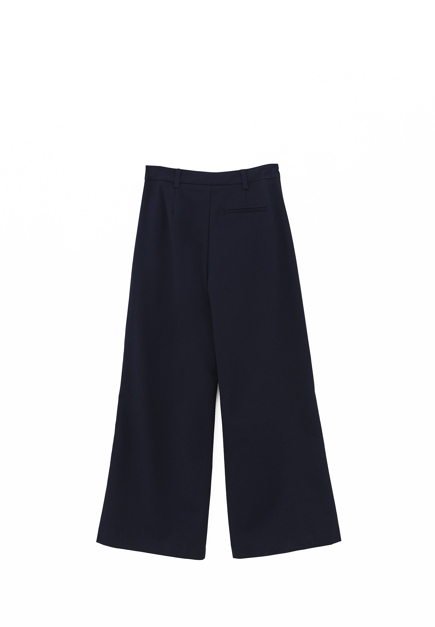 Pleated Standard Wide Leg Pants - MIDNIGHT