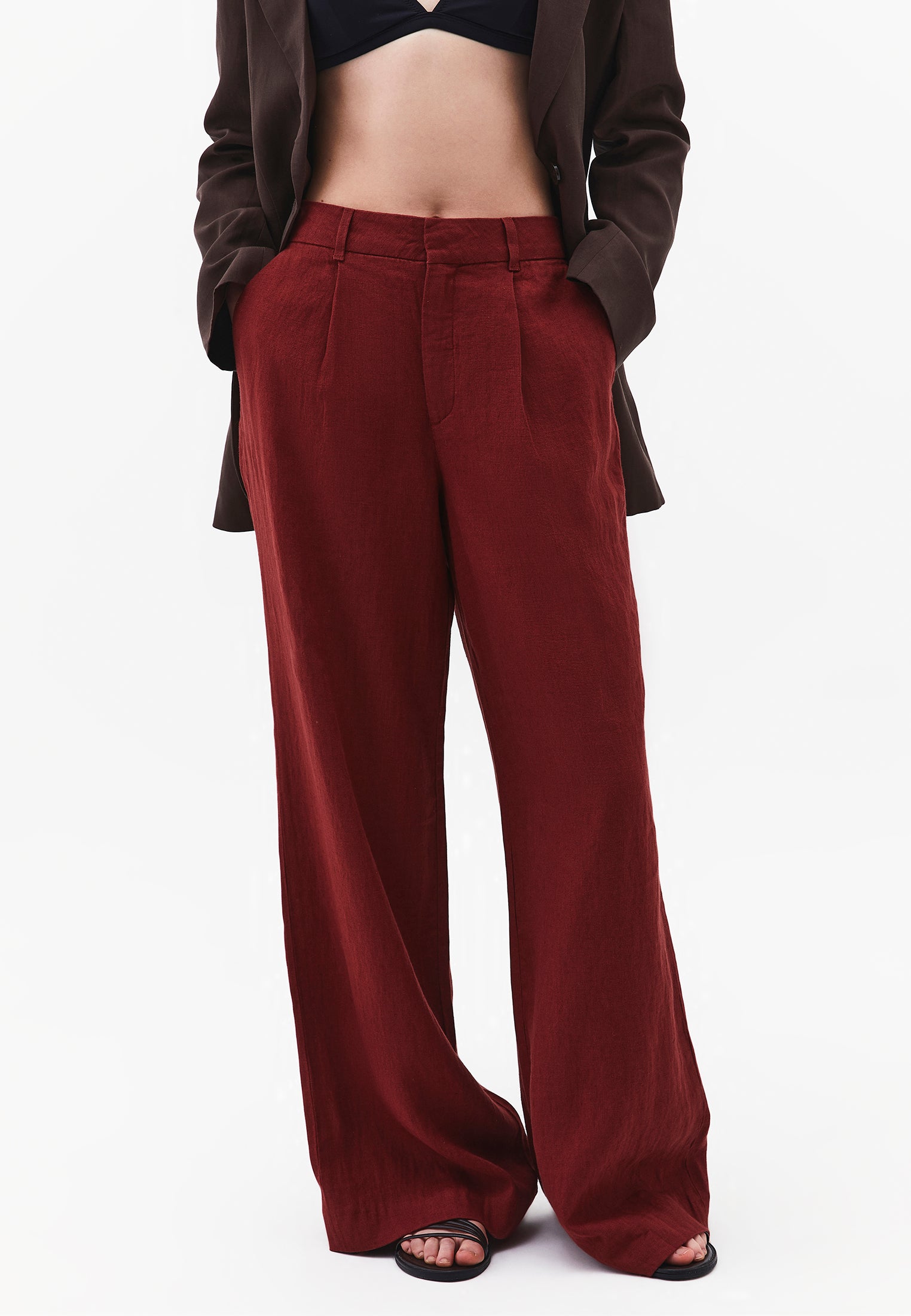 Pleated Wide Leg Pants - SPICED APPLE