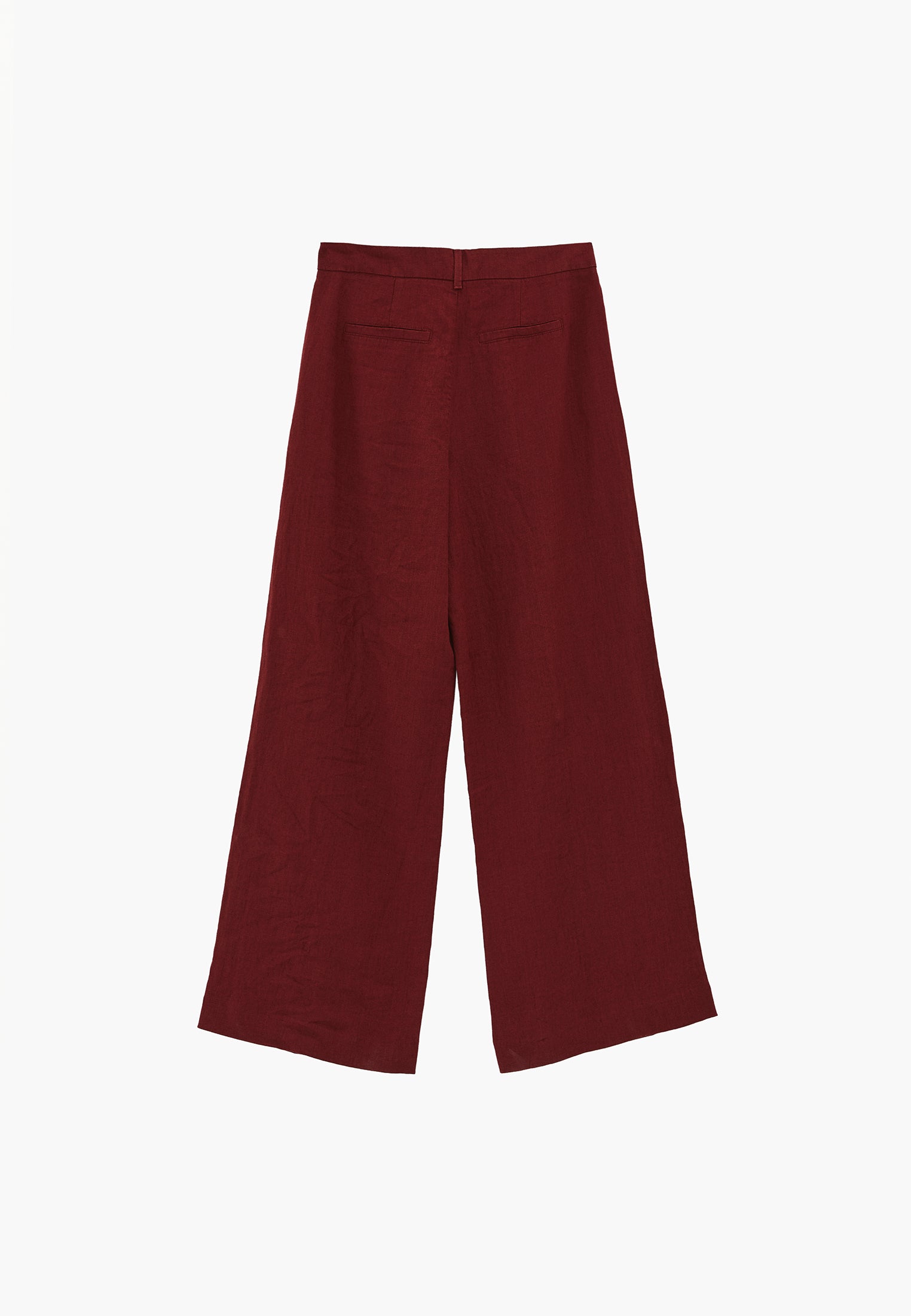 Pleated Wide Leg Pants - SPICED APPLE