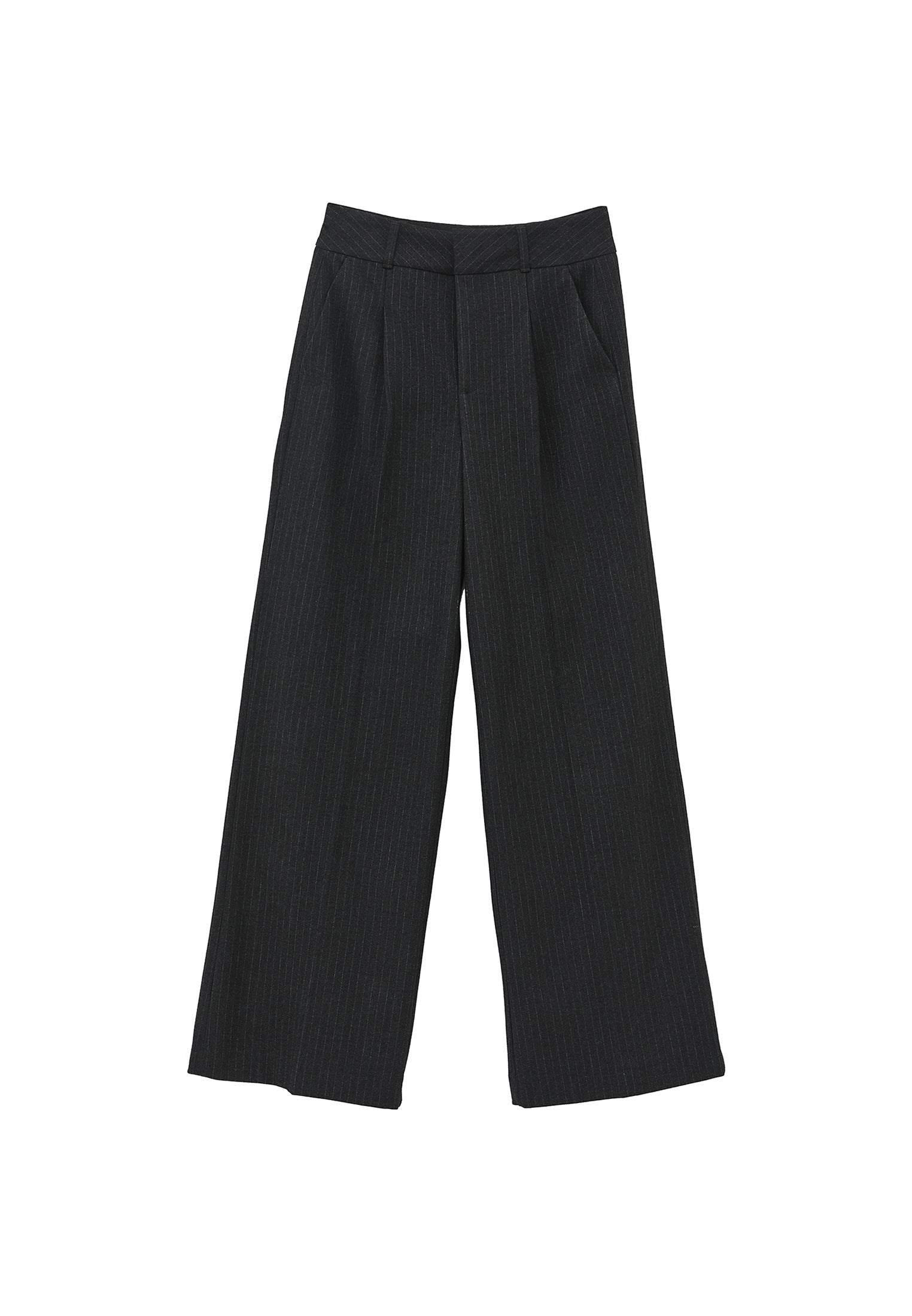 Pleated Wide Leg Pants - ANTHRA STRIPE