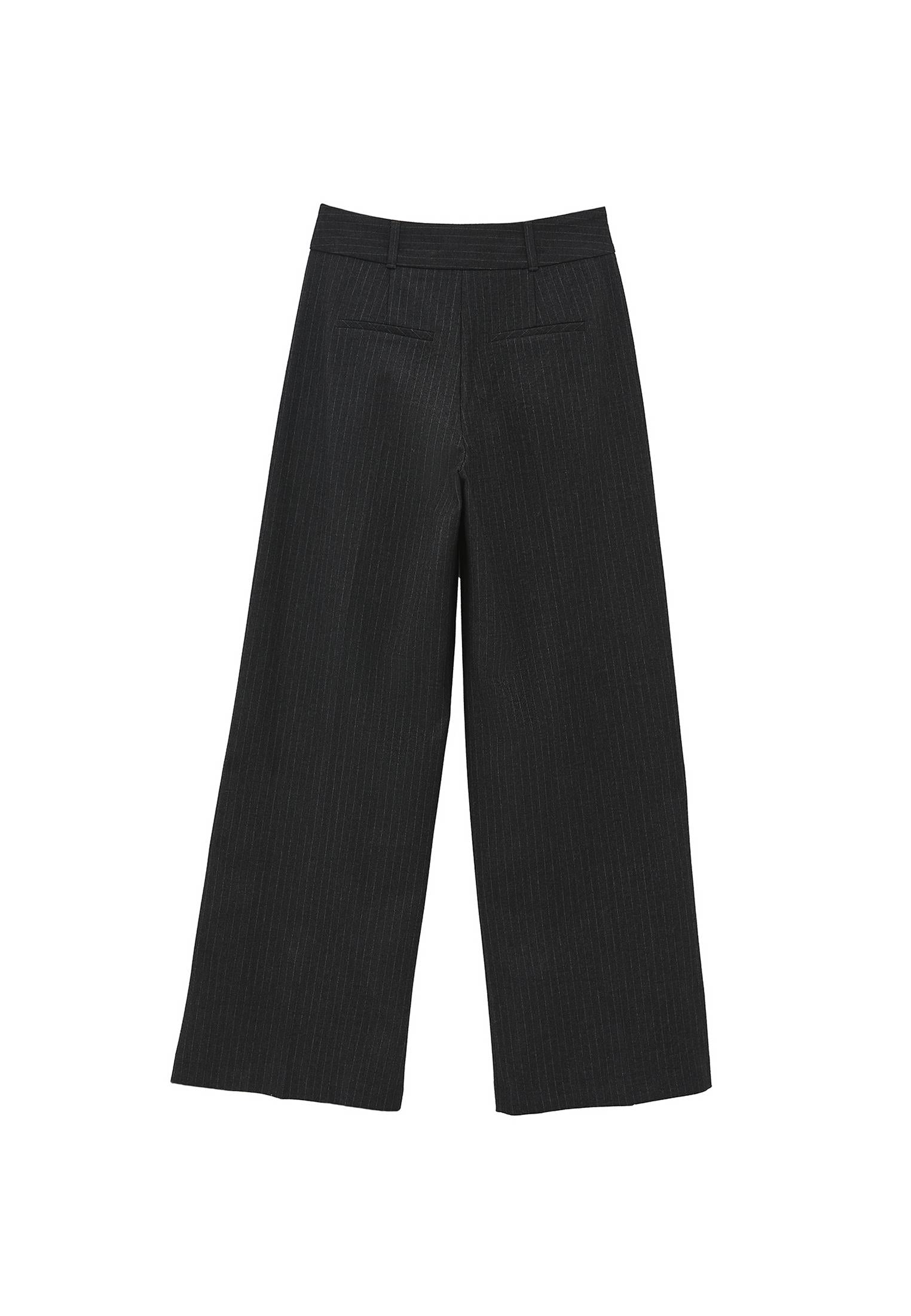Pleated Wide Leg Pants - ANTHRA STRIPE