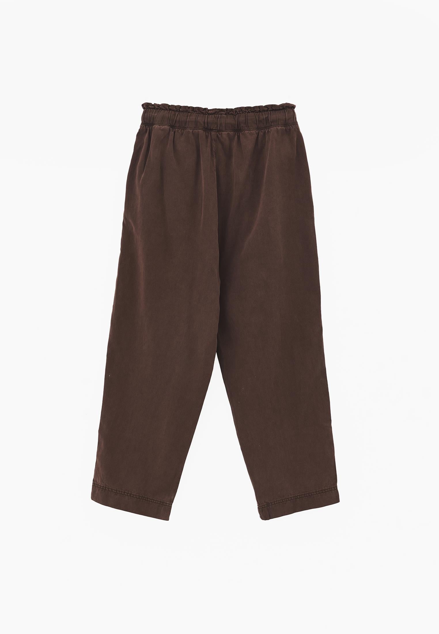 Pleated Tencel Baggy Pants - ANTIK CHICORY COFFEE