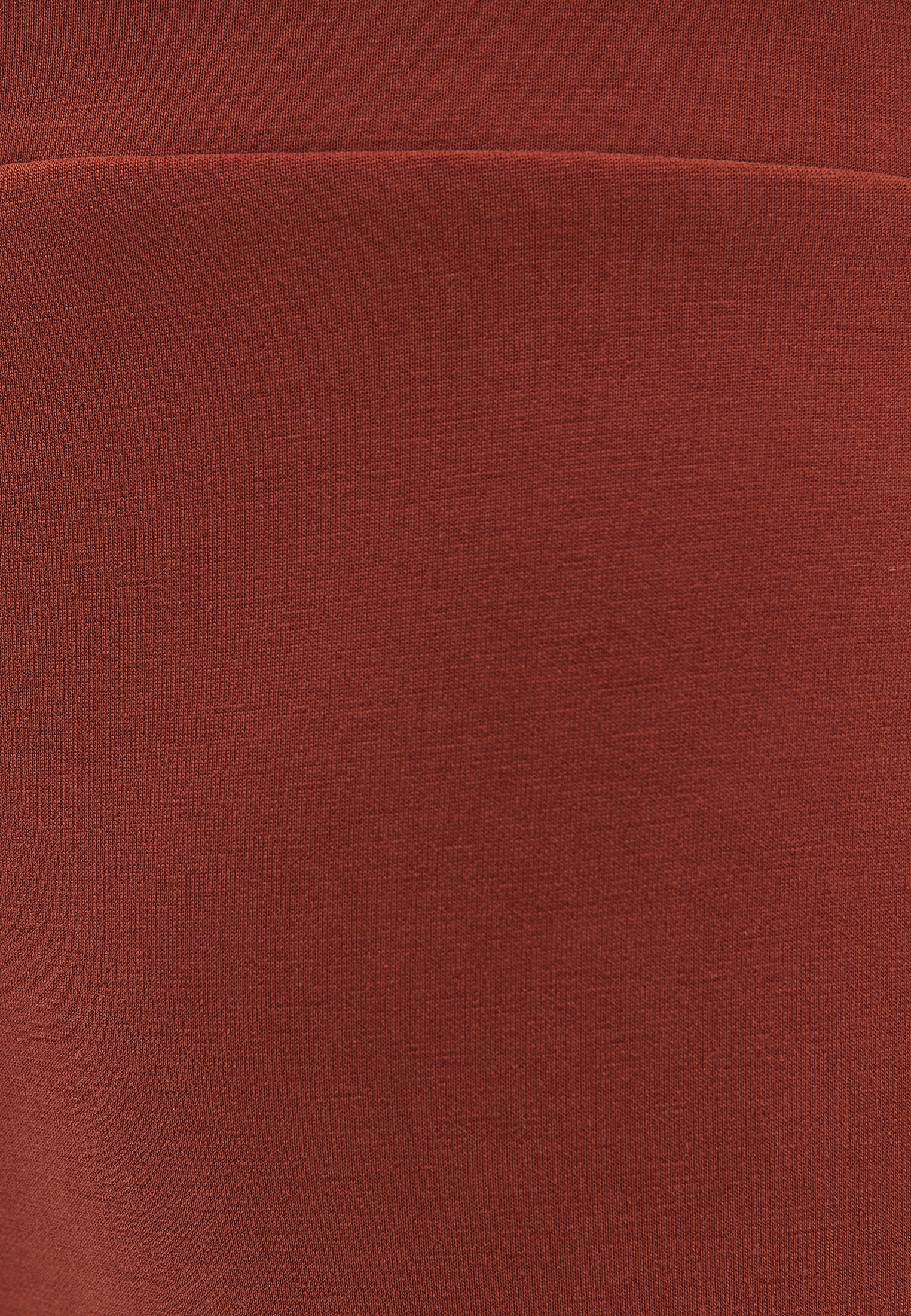 High Waist Standard Straight Leg Pants - ARABIAN SPICE