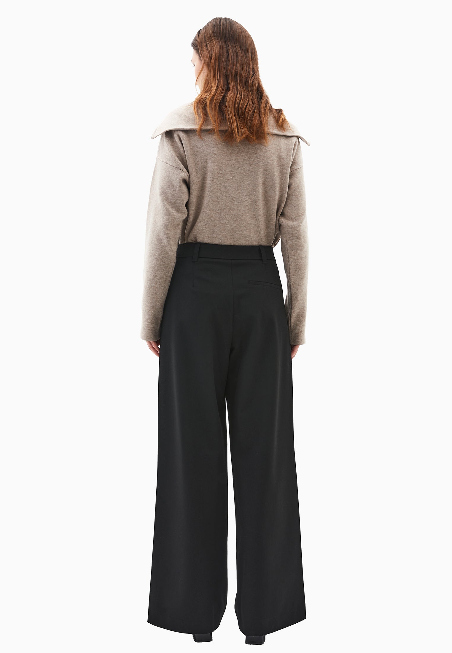 Pleated Standard Wide Leg Pants - BLACK