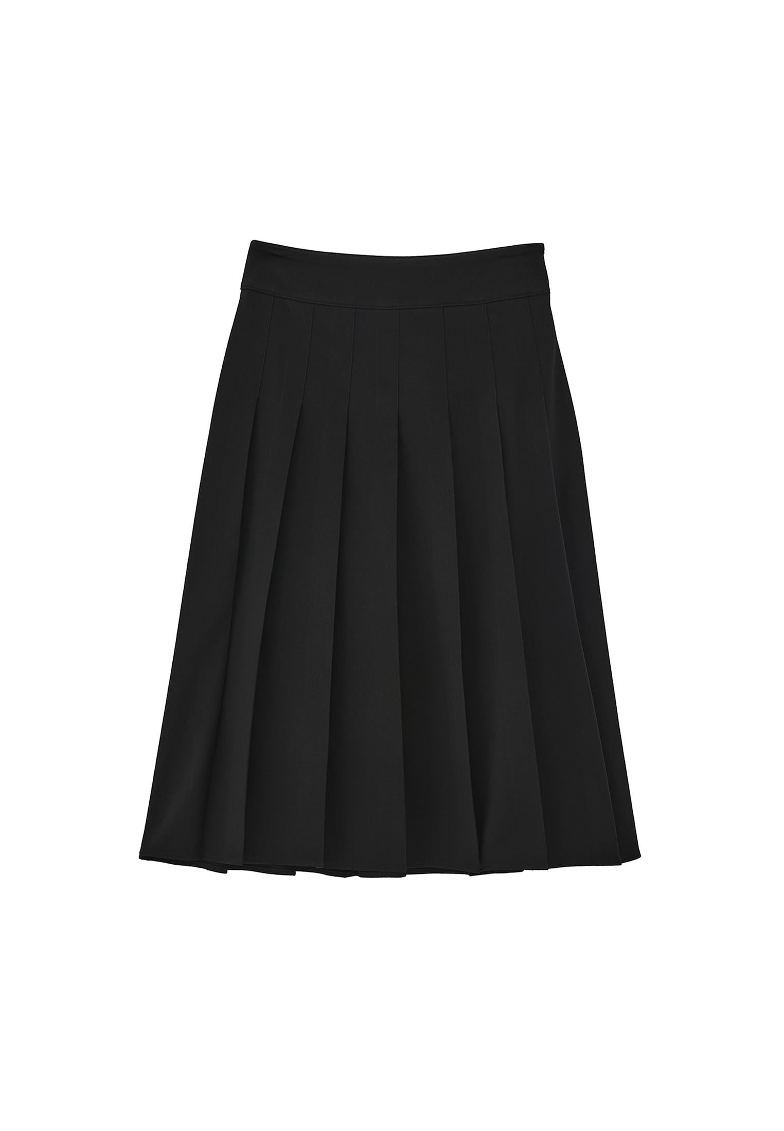 Long Pleated A-Line Skirt - BLACK