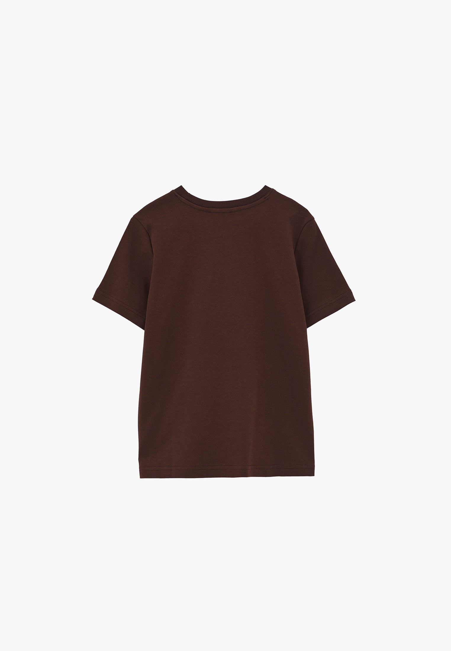 Crew Neck Loose Fit T-Shirt - CHICORY COFFEE