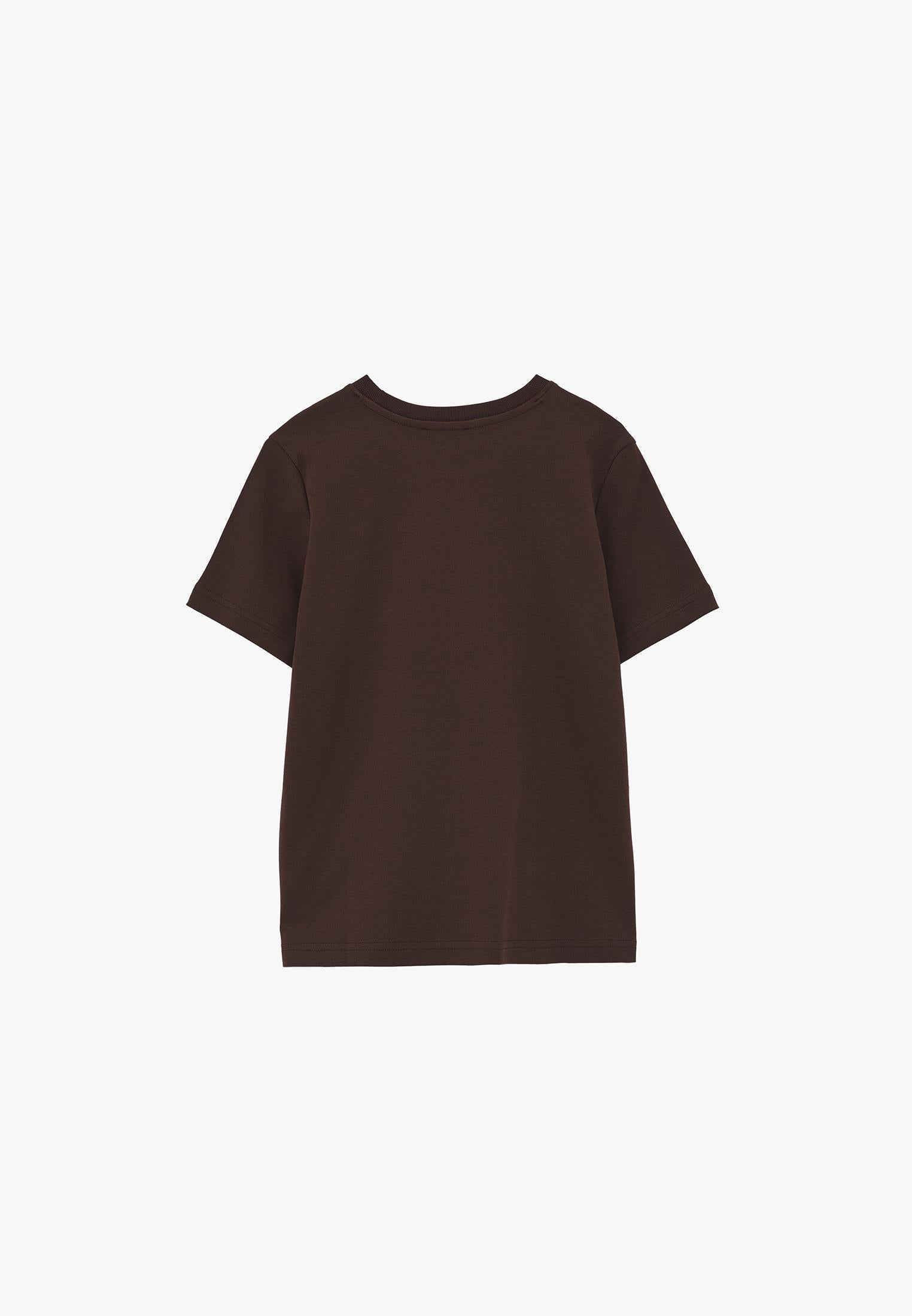 Crew Neck Loose Fit T-Shirt - CHICORY COFFEE