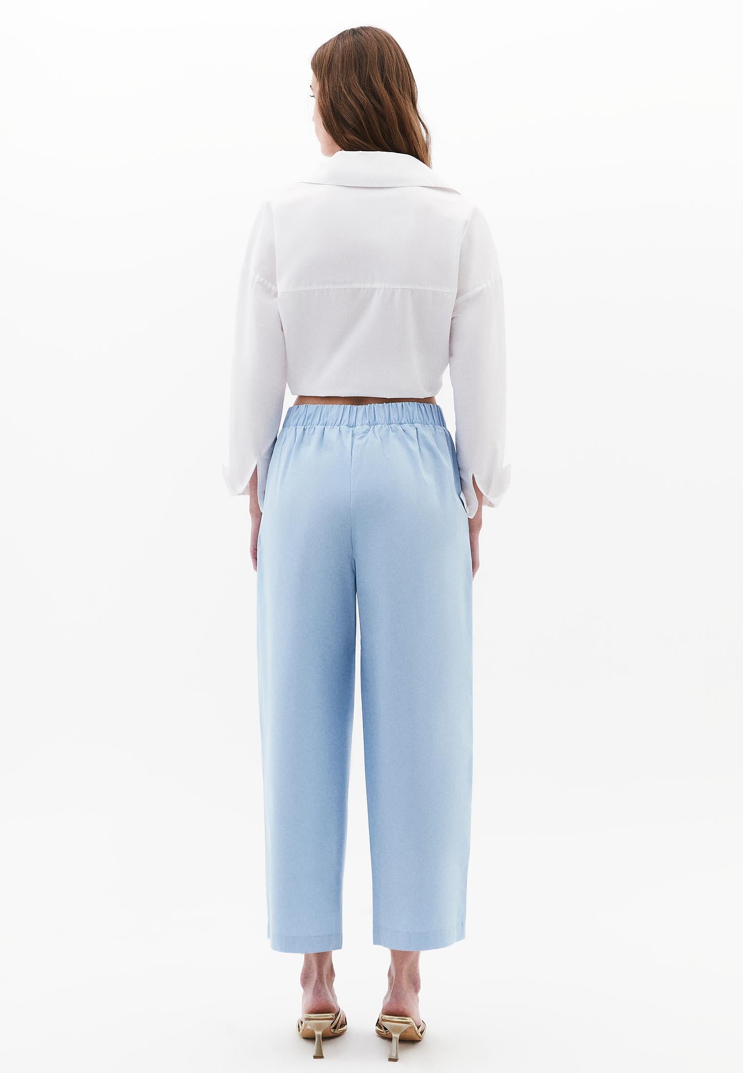 Pleated High Waist Carrot Pants - CLEAR SKY