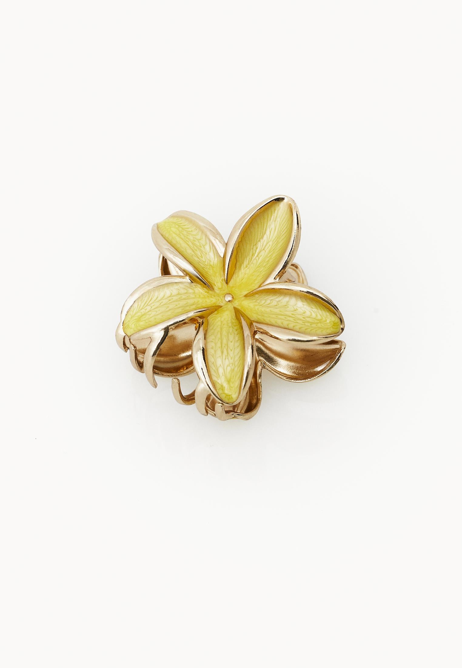 Hair Clip - GOLDFINCH