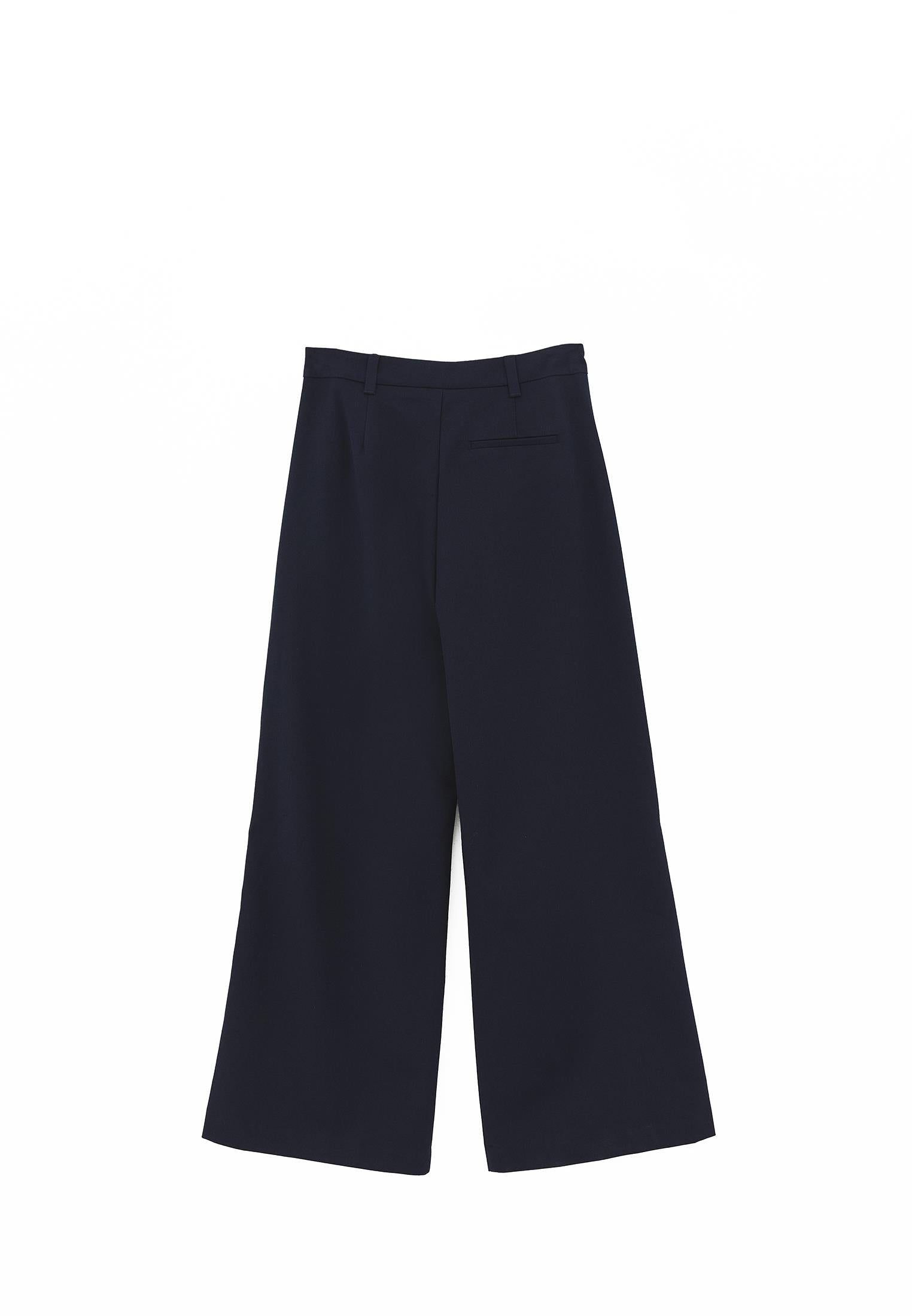 Pleated Standard Wide Leg Pants - MIDNIGHT