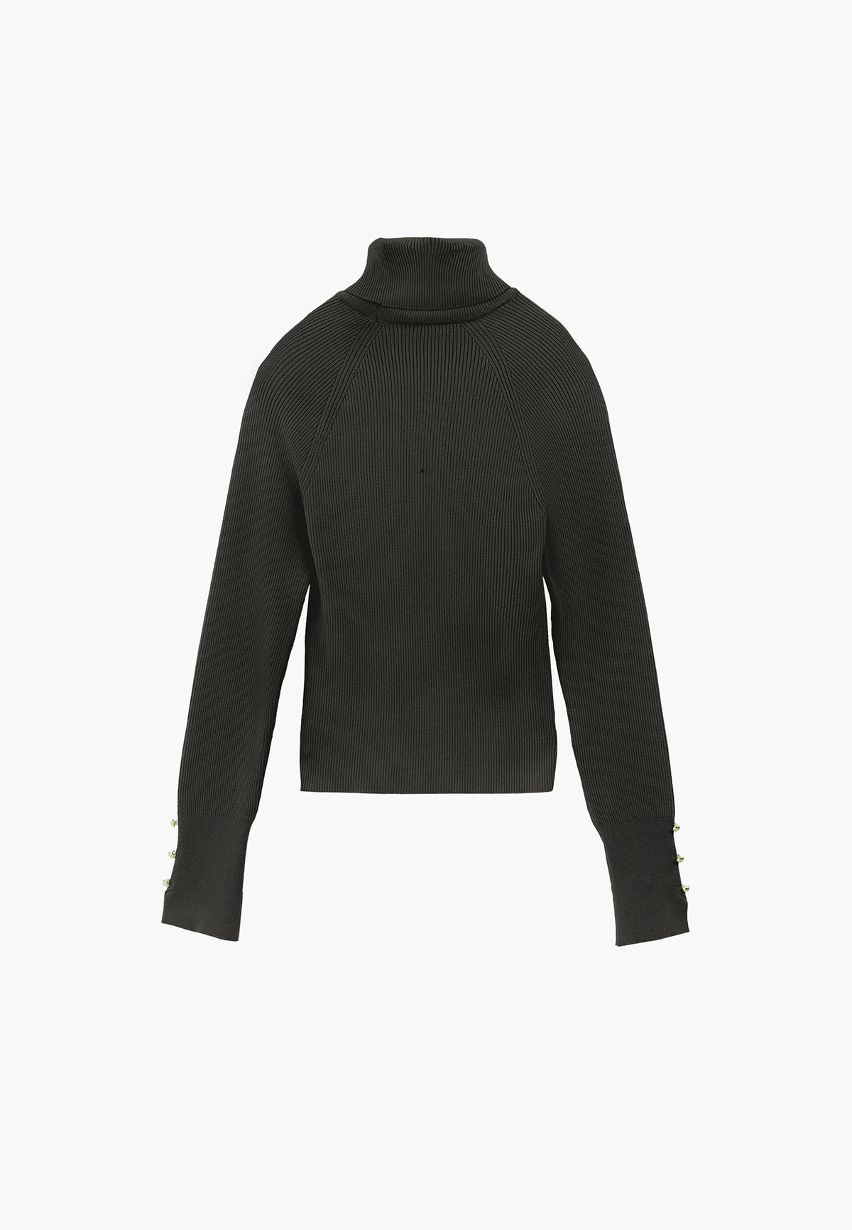 Turtleneck Raglan Sleeve Knitwear - ROSIN